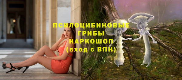 бошки Балахна
