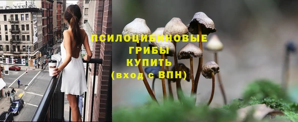 бошки Балахна